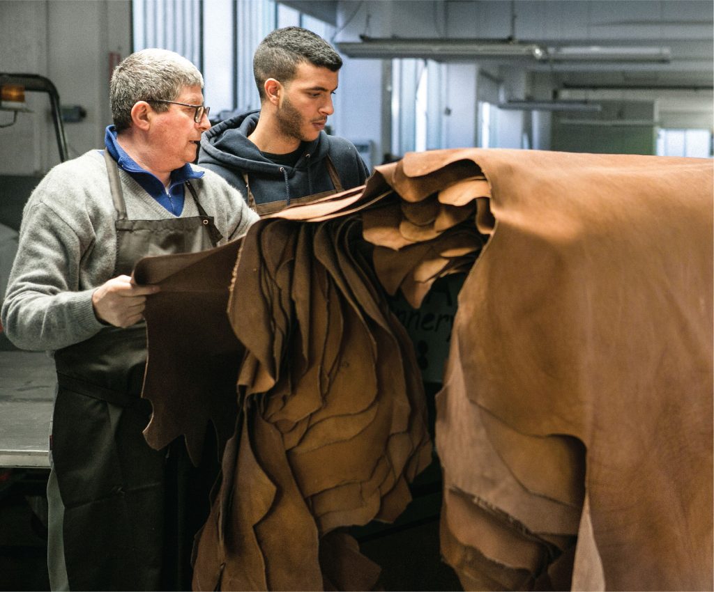 Leather hides